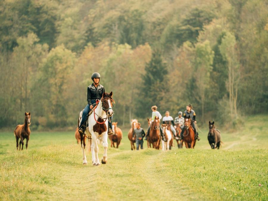 TURISMO EQUESTRE